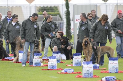 Remise des Prix 026.JPG - CHIENPLUS.COM